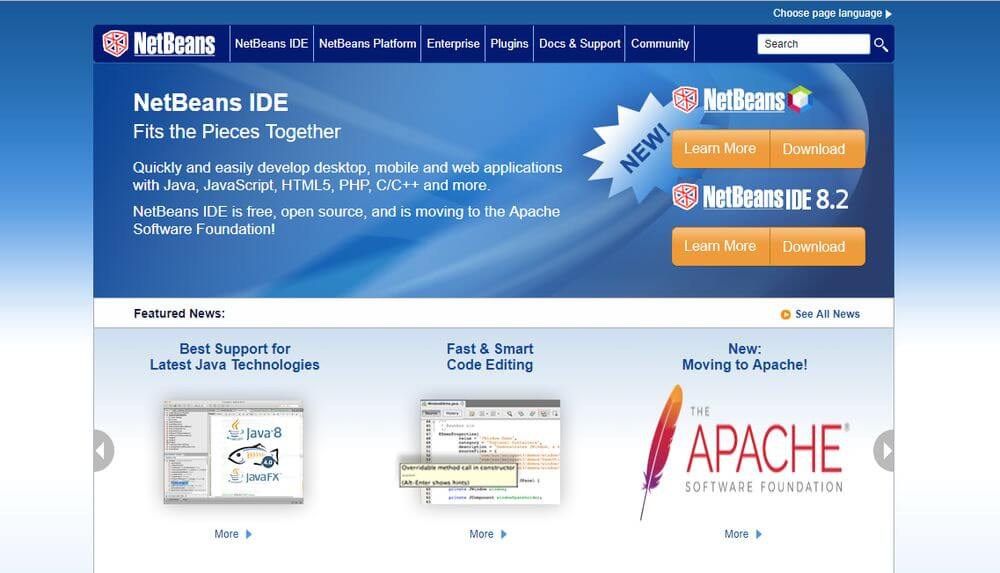 NetBeans is a Java debugging tool